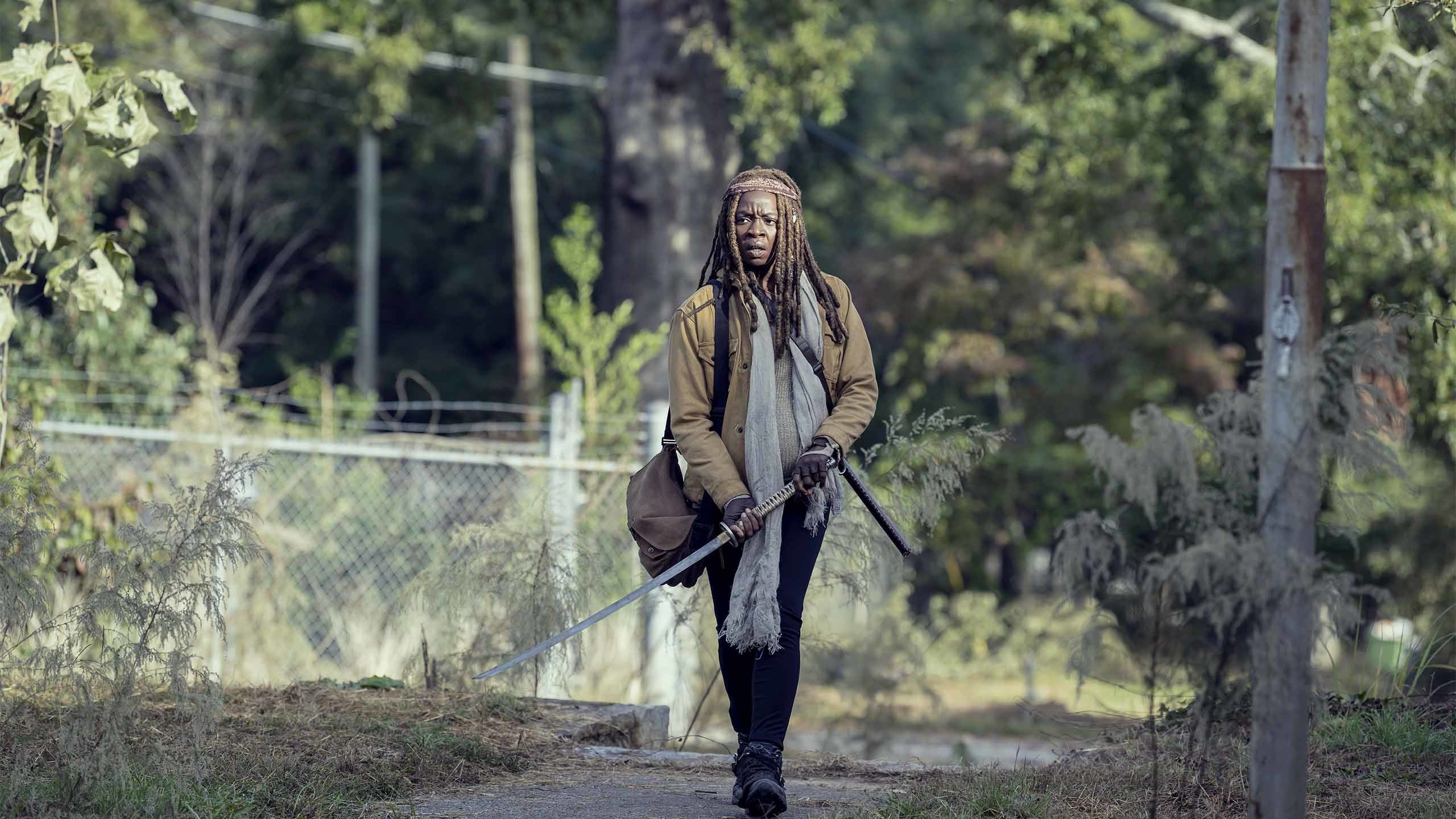 The Walking Dead Saison 9 Episode 10 Streaming